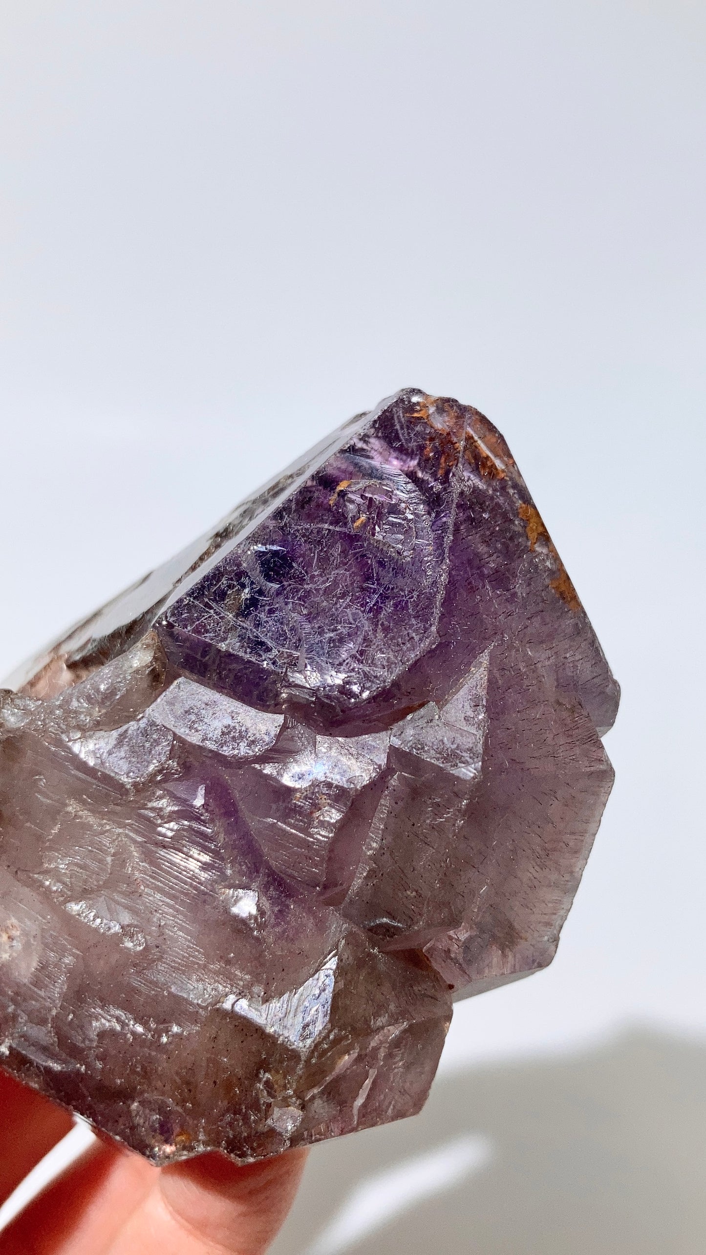 超級七骨幹 (大款 - 多髮)