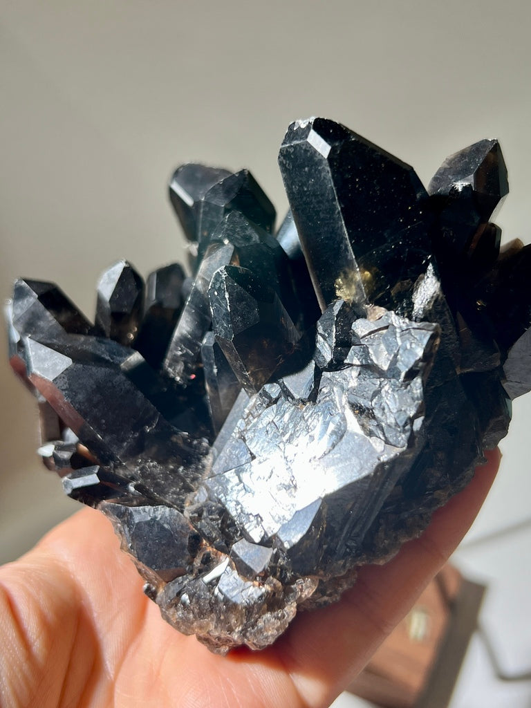 黑晶簇 黑水晶 黑晶簇功效 黑晶簇淨化