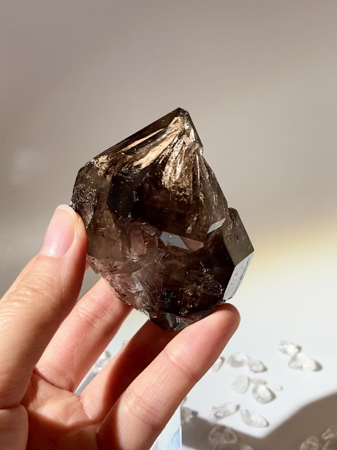 南非茶晶閃靈鑽骸骨