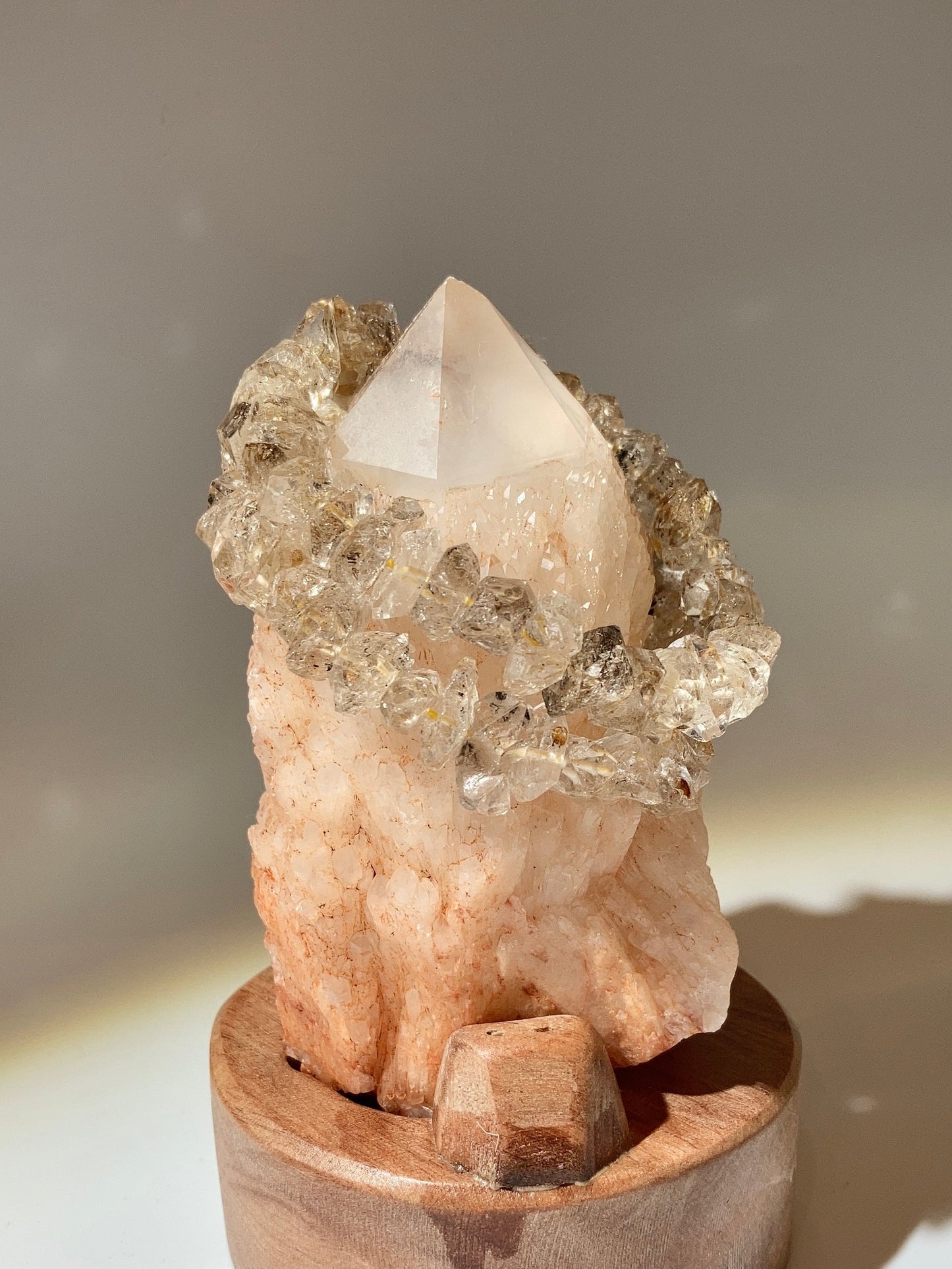 天然紅泥菠蘿骨幹（雙子共生）