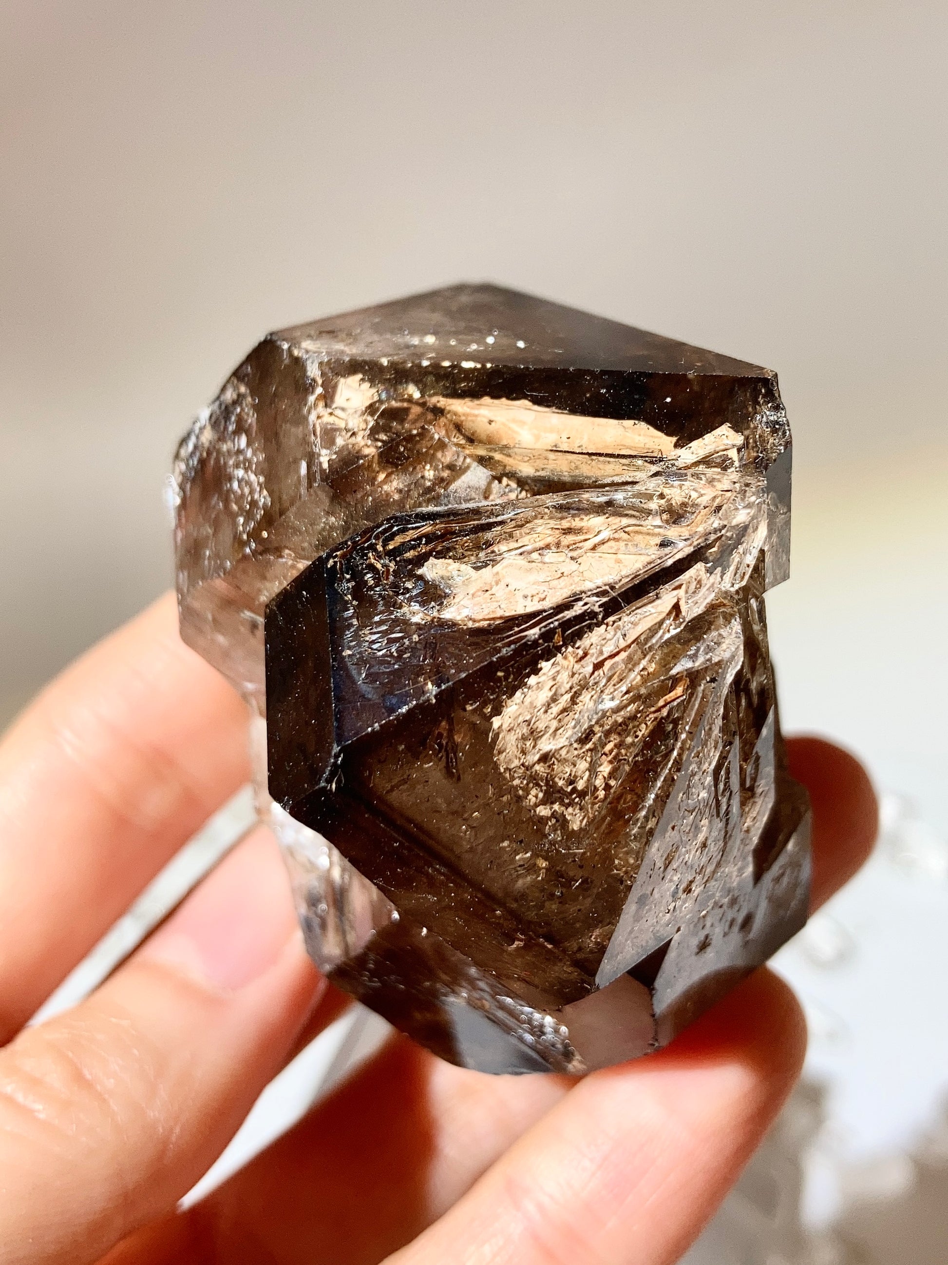 南非茶晶閃靈鑽骸骨