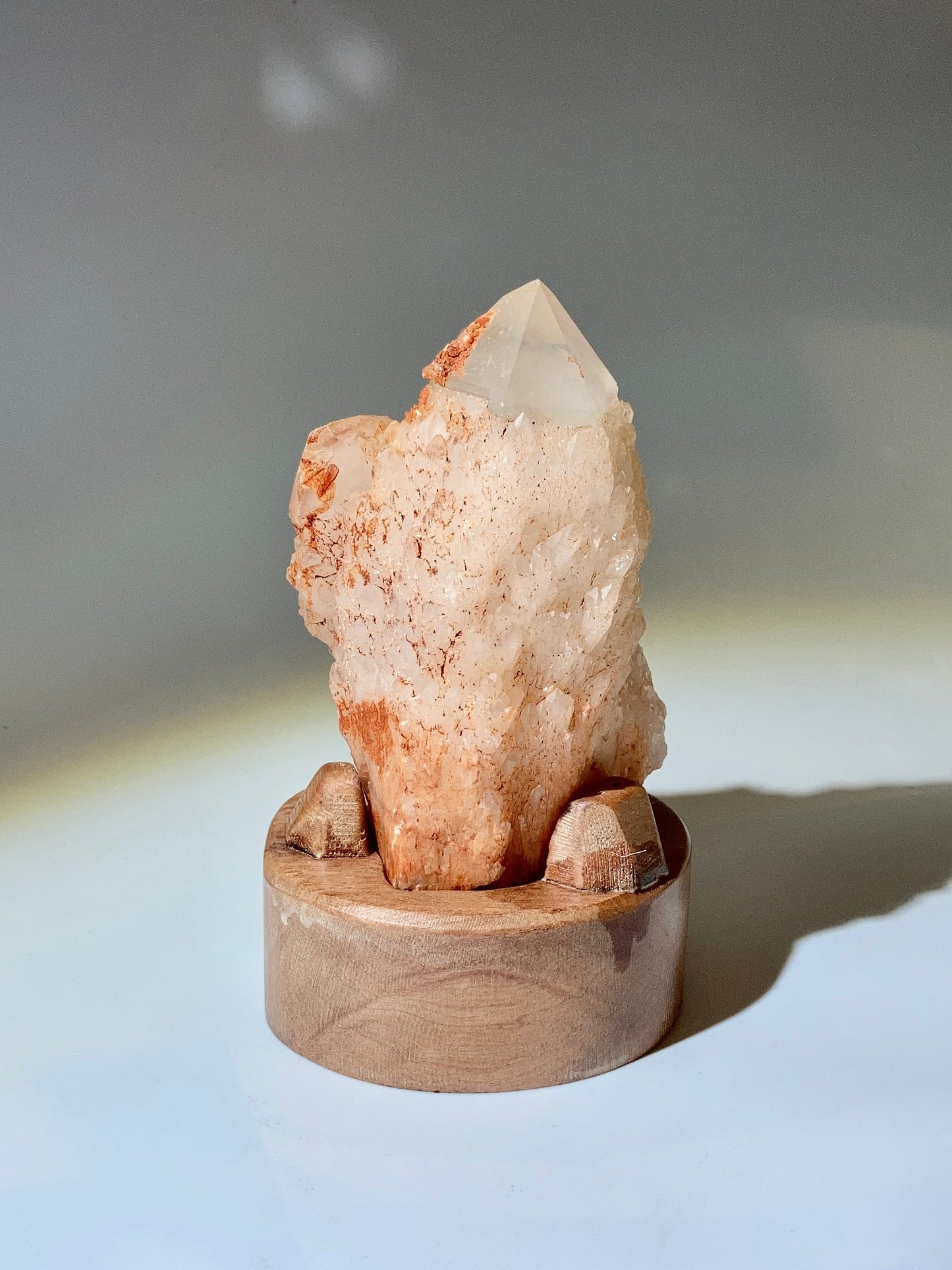 天然紅泥菠蘿骨幹（雙子共生）