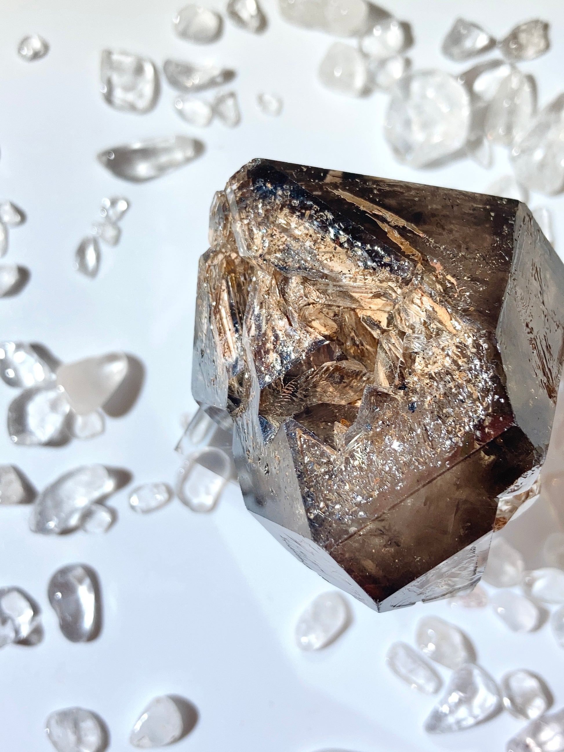 南非茶晶閃靈鑽骸骨